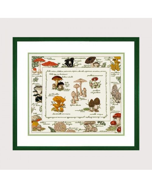 Mushrooms. Counted cross stitch embroidery kit. Le Bonheur des Dames 1193