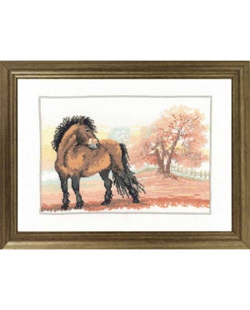 Horse in autumn