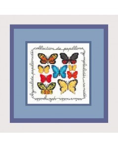 Butterflies collection