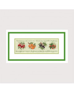 Fruit frieze