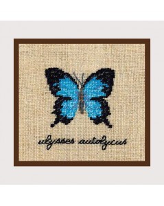 Blue butterfly miniature
