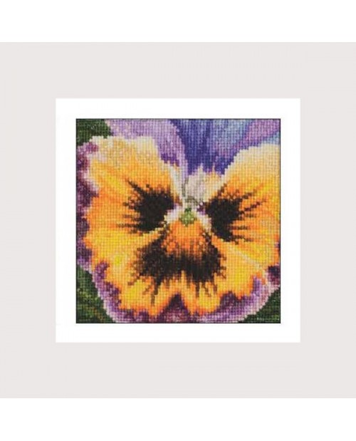 Pansy. Counted cross stitch embroidery kit on 7 pts/cm Aïda fabric. Thea Gouverneur. Item G0453