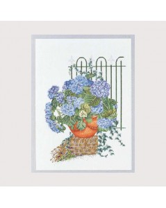 Blue hortensias