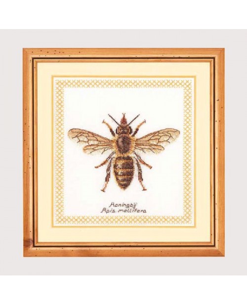 Bee. Counted cross stitch embroidery on even-weave linen. Thea Gouverneur G3017