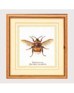 Bumblebee. Counted cross stitch embroidery kit.Thea Gouverneur G3018