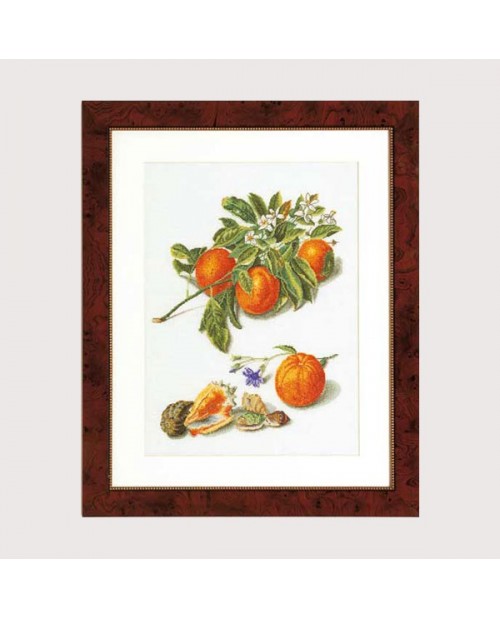 fruitportret antiek 1
