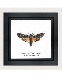 Counted cross stitch embroidery kit. Death's-head Hawk moth. Thea Gouverneur. Item n° 563A