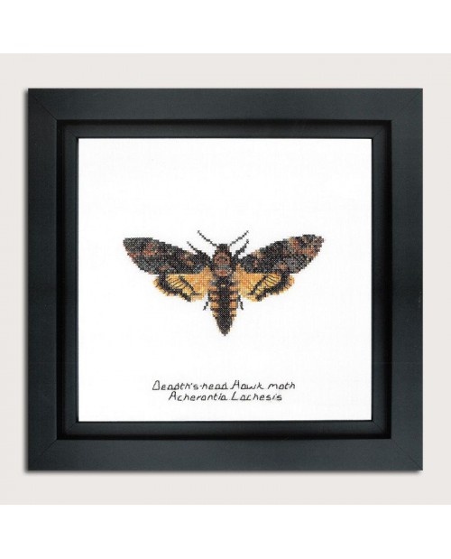 Counted cross stitch embroidery kit. Death's-head Hawk moth. Thea Gouverneur. Item n° 563A Counted cross stitch embroidery kit. Death's-head Hawk moth. Thea Gouverneur. Item n° 563A