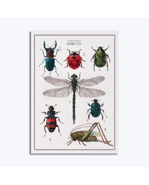 Tableau brodé. Histoire des insectes. Motif: insectes. Création de Thea Gouverneur. 566