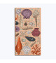 Spectacle case seashells. Counted cross stitch kits. Item n° 3242 Le Bonheur des Dames