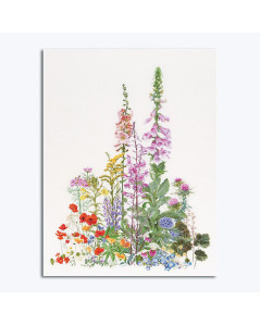 American wild flowers. Picture embroidered in cross stitch on linen fabric. Design by Thea Gouverneur G0554