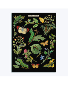 Caterpillars, butterflies, flowers and plants embroidered on black Aida 6,3 pts/cm. Kit by Thea Gouverneur G0587