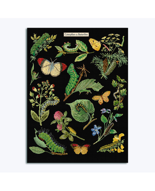 Chenilles, papillons, fleurs et plantes brodés sur toile Aïda 6,3 pts/cm. Kit de Thea Gouverneur G0587 Chenilles, papillons, fleurs et plantes brodés sur toile Aïda 6,3 pts/cm. Kit de Thea Gouverneur G0587